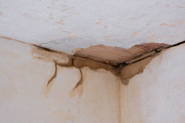 Best 24-hour water damage restoration  in Lake Worth, TX