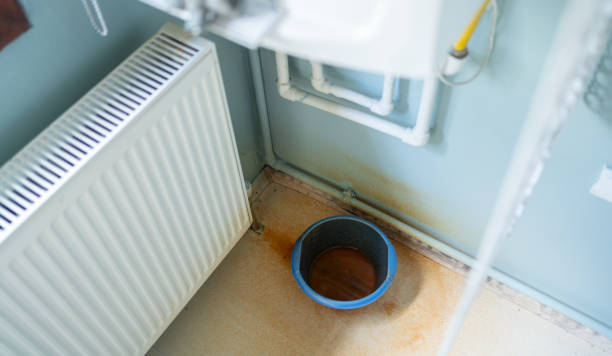 Best Professional water damage repair  in Lake Worth, TX