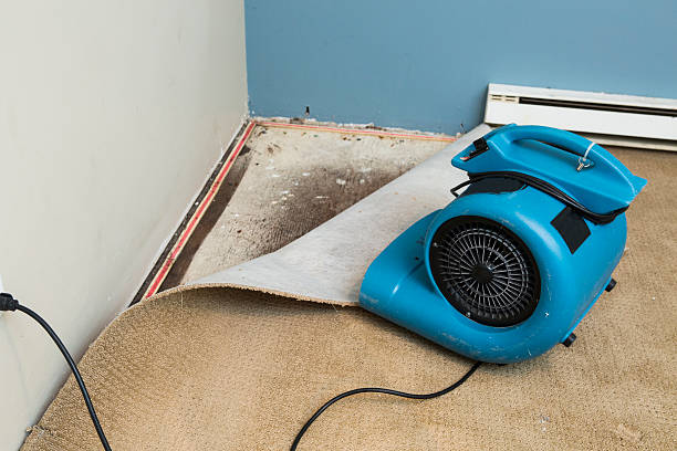 Best Flooded house restoration  in Lake Worth, TX